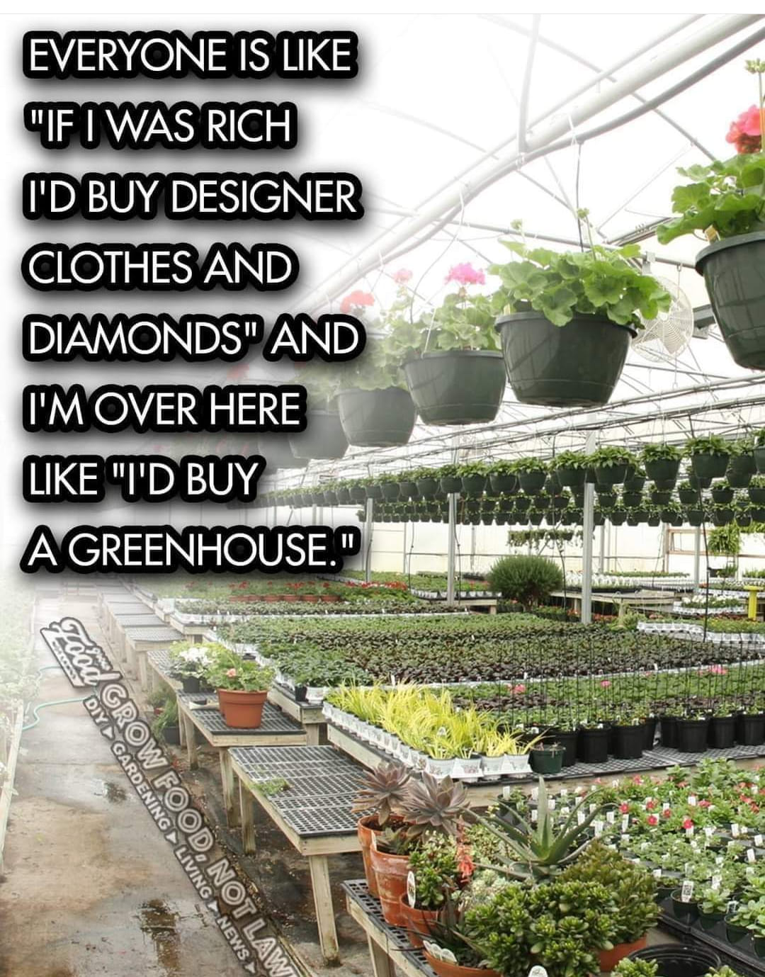 This meme is a humorous commentary on the difference between the rich and the poor. The text on the left reads: "Everyone is like 'If I was rich, I'd buy...' and then gives a humorous, extravagant wish, such as 'I'd buy designer clothes and diamonds.' However, the meme then subverts this expectation by saying 'I'm over here like I'd buy a greenhouse.'" This is a tongue-in-cheek way of saying that someone who is not wealthy might not have the luxury to buy expensive things, but can still have a simple, practical, and affordable option like a greenhouse.